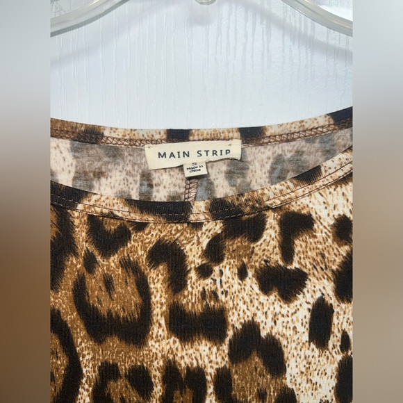 Main Strip Leopard Maxi Dress - Picture 4 of 5